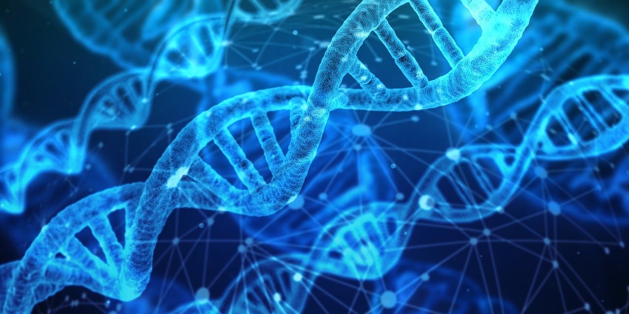 Ilustração digital de fitas de DNA em azul brilhante, sobrepostas por uma rede de pontos e linhas conectadas sugerindo análise de dados